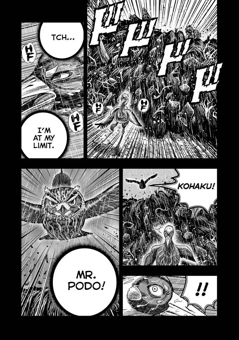 Read Rooster Fighter EN Manga Online