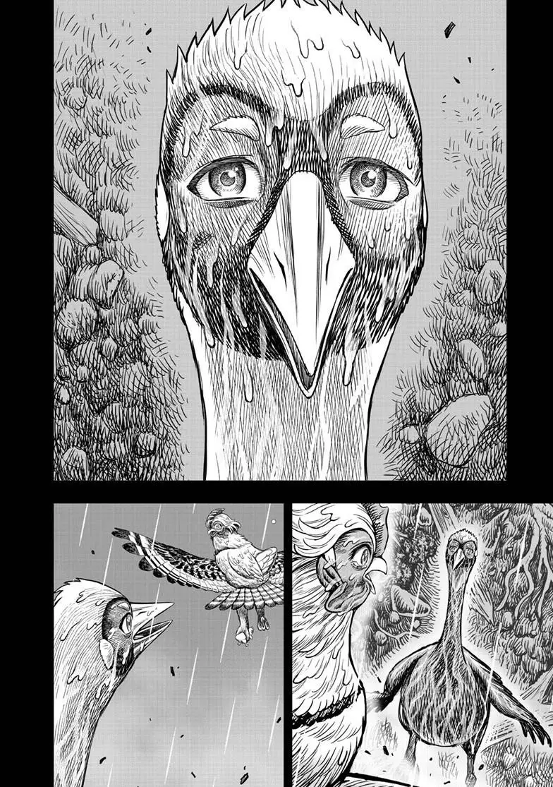 Read Rooster Fighter EN Manga Online