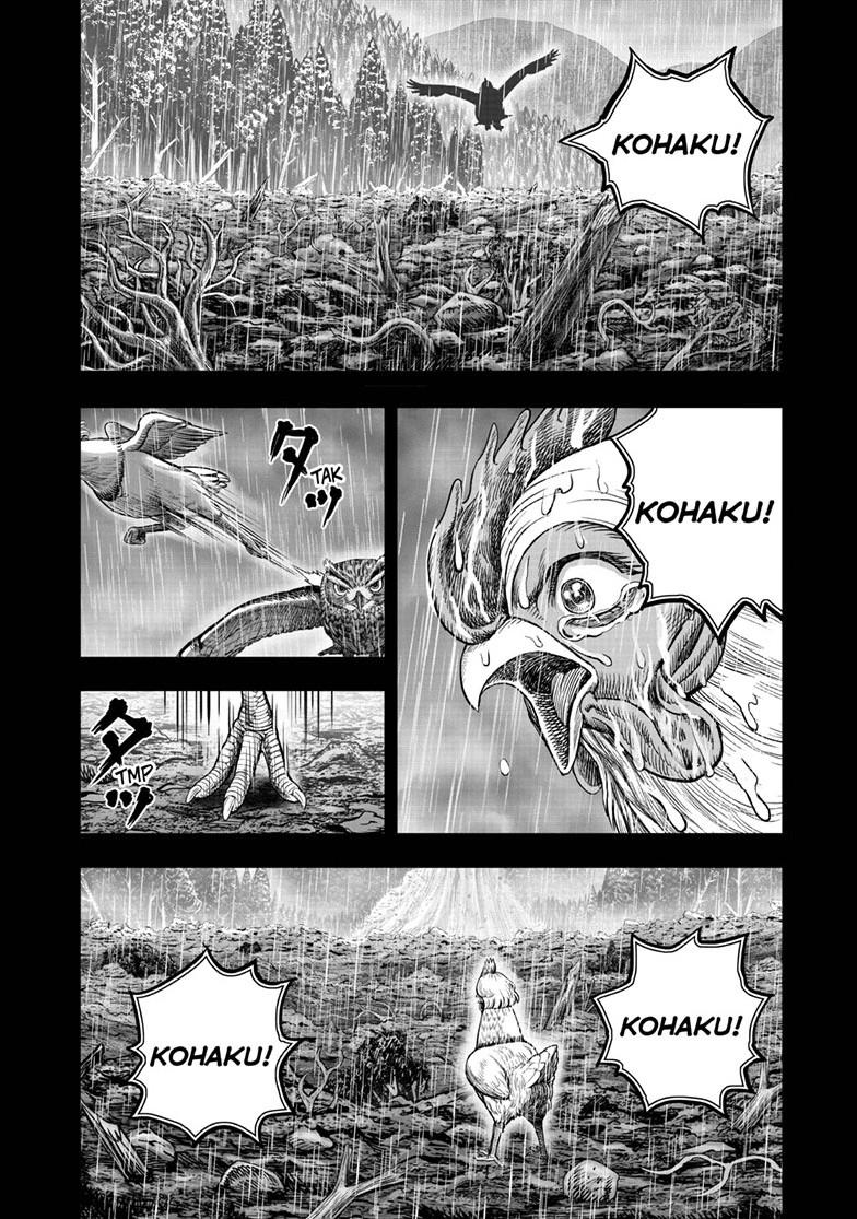 Read Rooster Fighter EN Manga Online