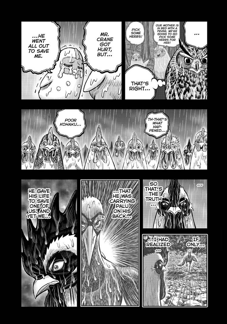 Read Rooster Fighter EN Manga Online