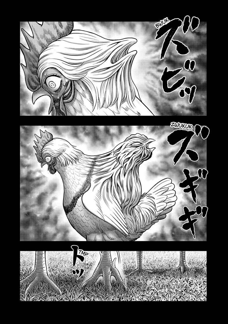 Read Rooster Fighter EN Manga Online