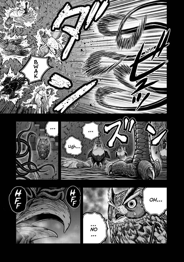 Read Rooster Fighter EN Manga Online