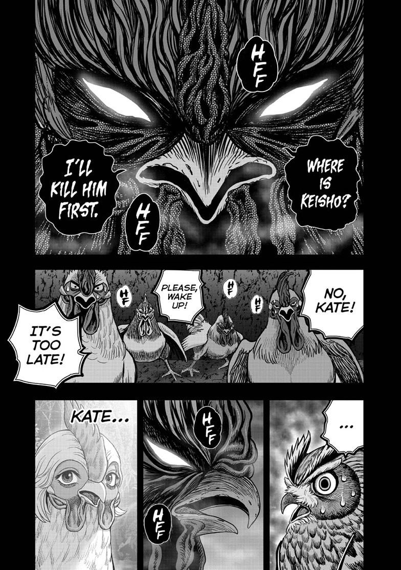 Read Rooster Fighter EN Manga Online