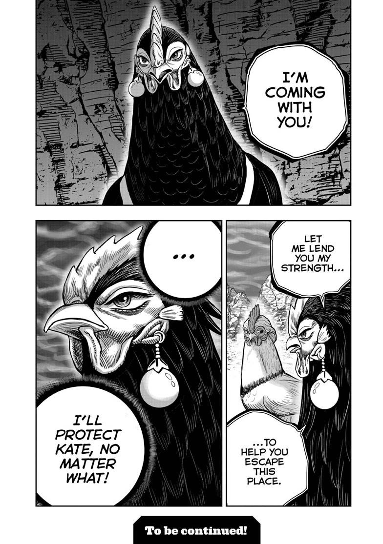 Read Rooster Fighter EN Manga Online
