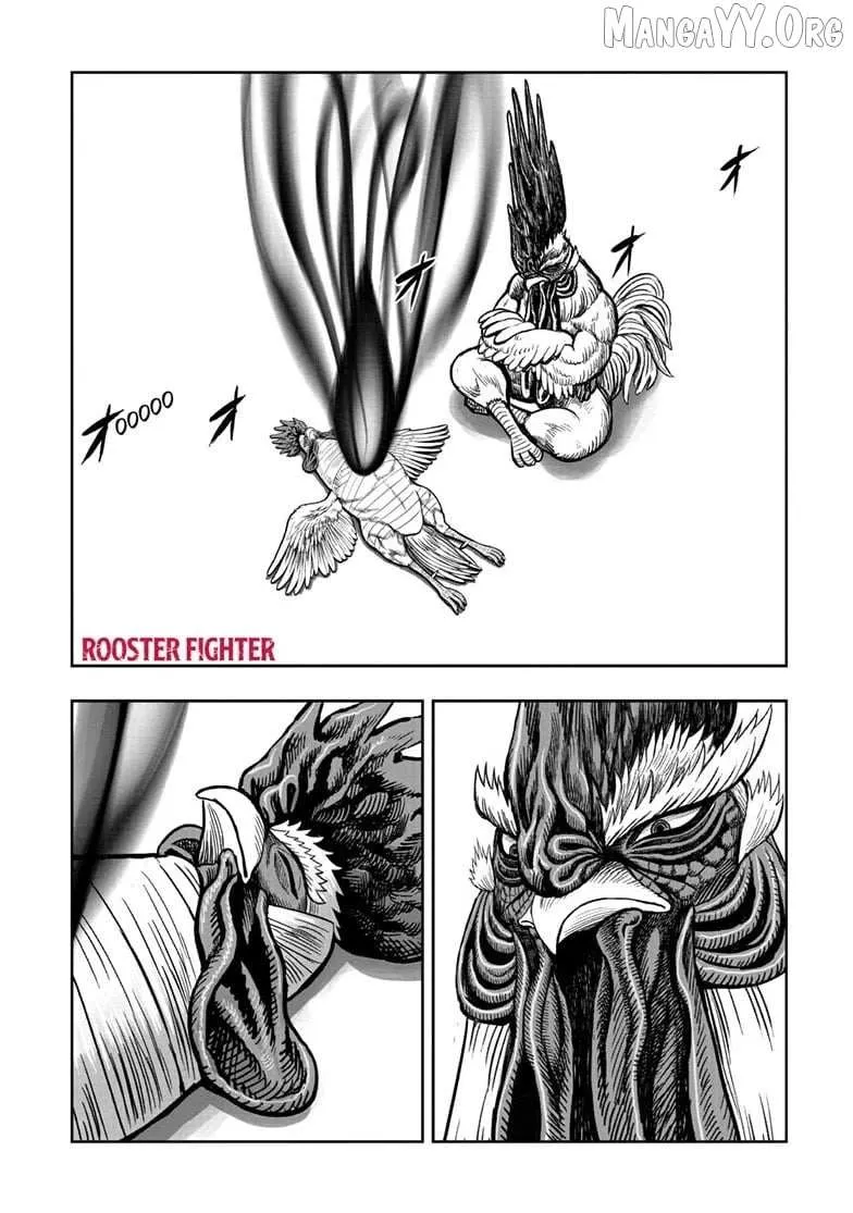 Read Rooster Fighter EN Manga Online