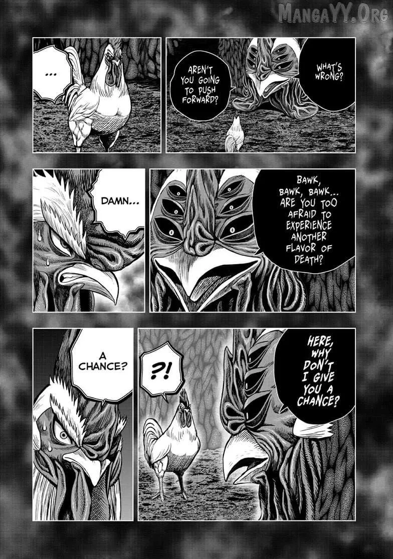 Read Rooster Fighter EN Manga Online