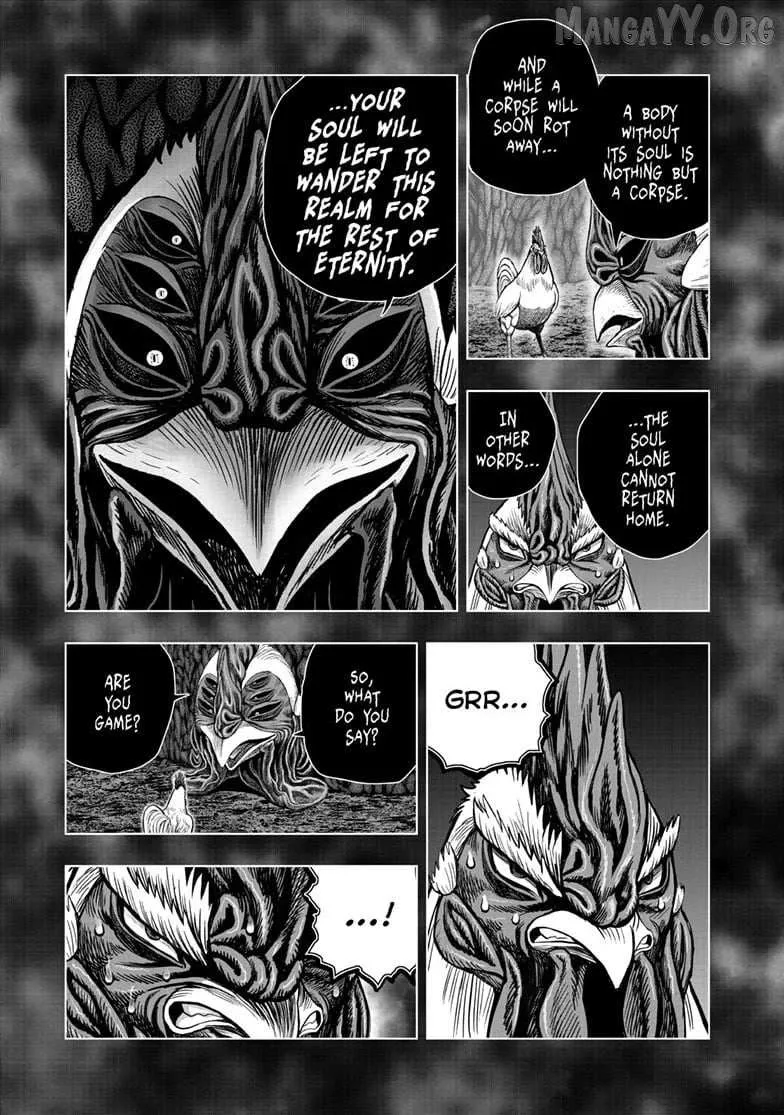 Read Rooster Fighter EN Manga Online
