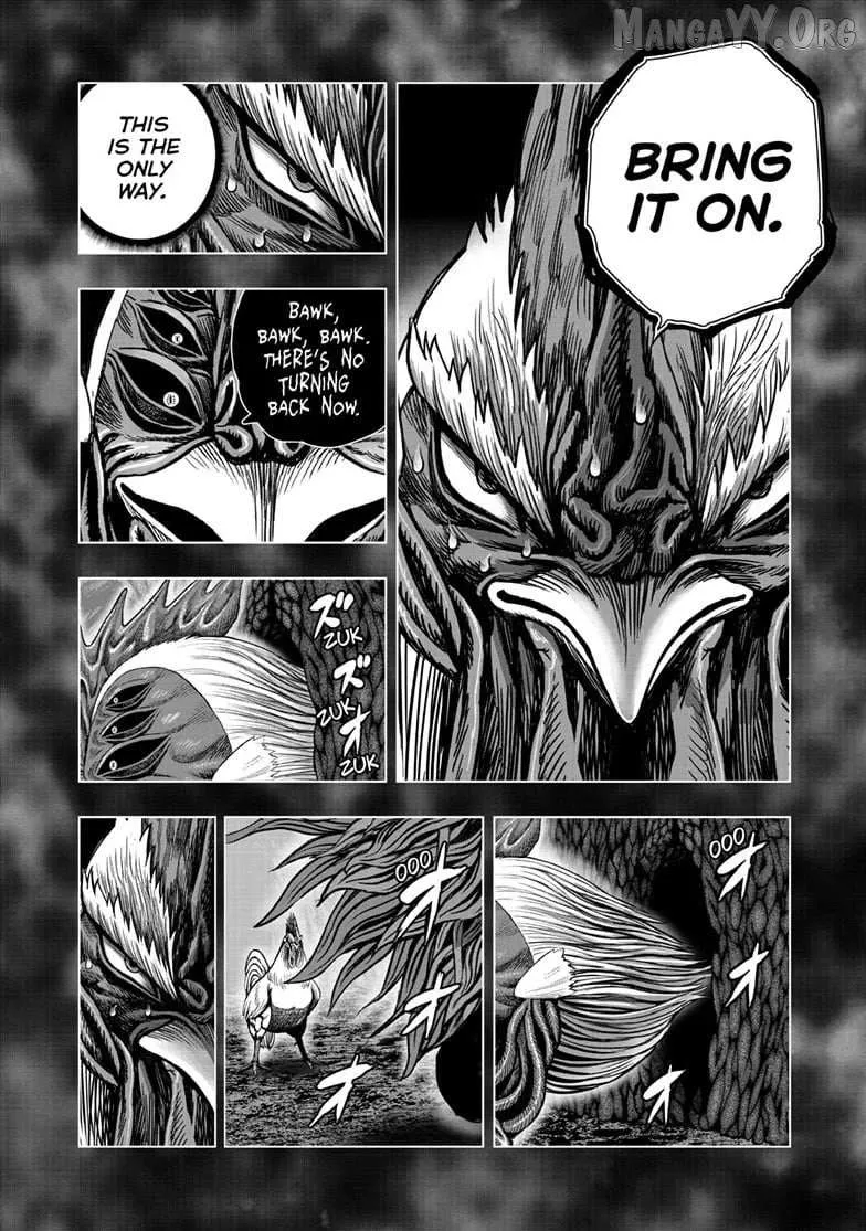 Read Rooster Fighter EN Manga Online