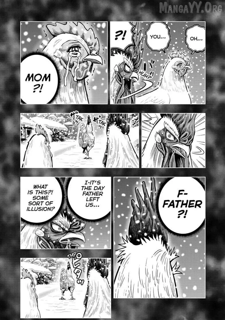 Read Rooster Fighter EN Manga Online