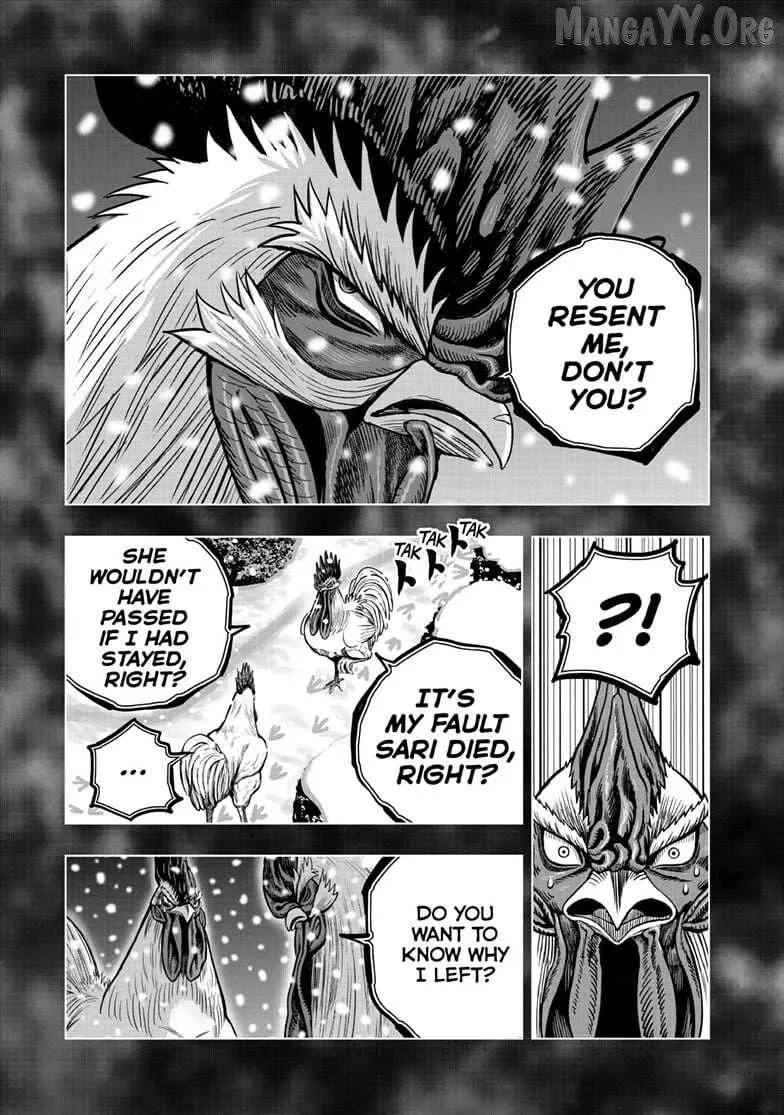 Read Rooster Fighter EN Manga Online