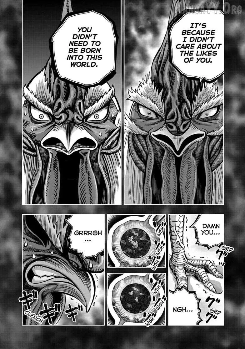 Read Rooster Fighter EN Manga Online