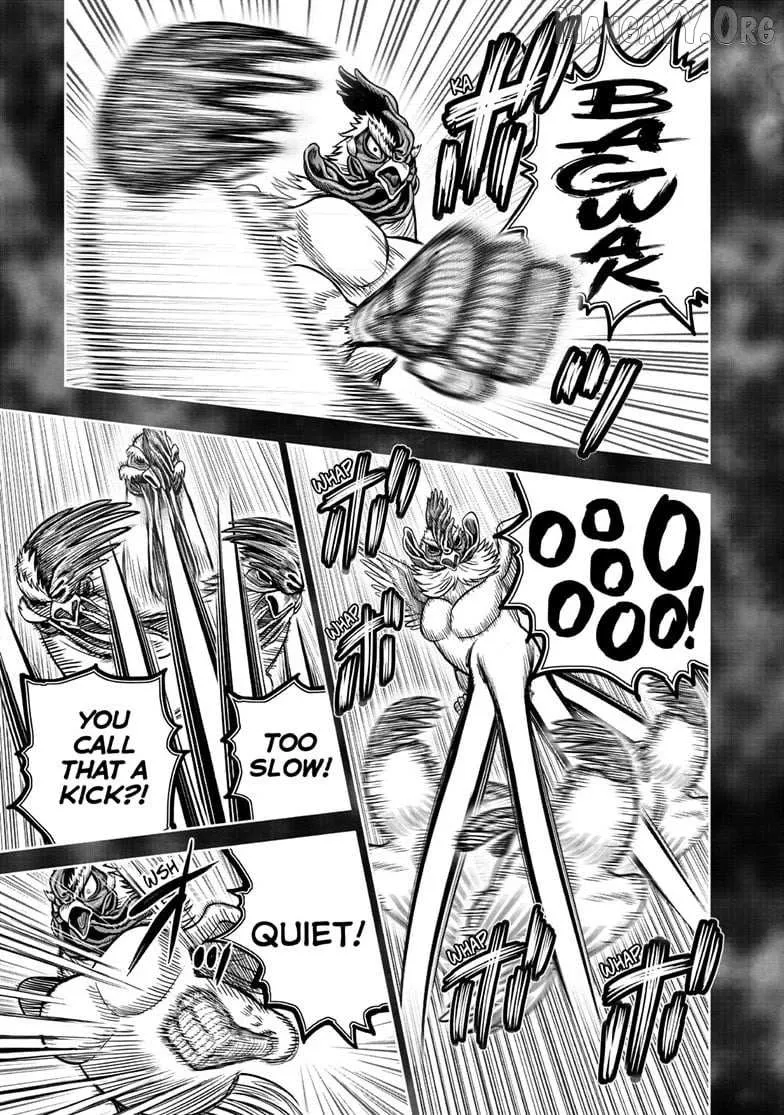 Read Rooster Fighter EN Manga Online