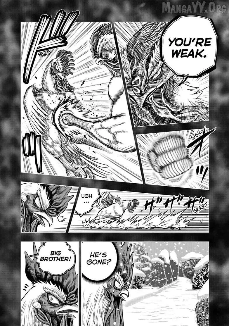 Read Rooster Fighter EN Manga Online