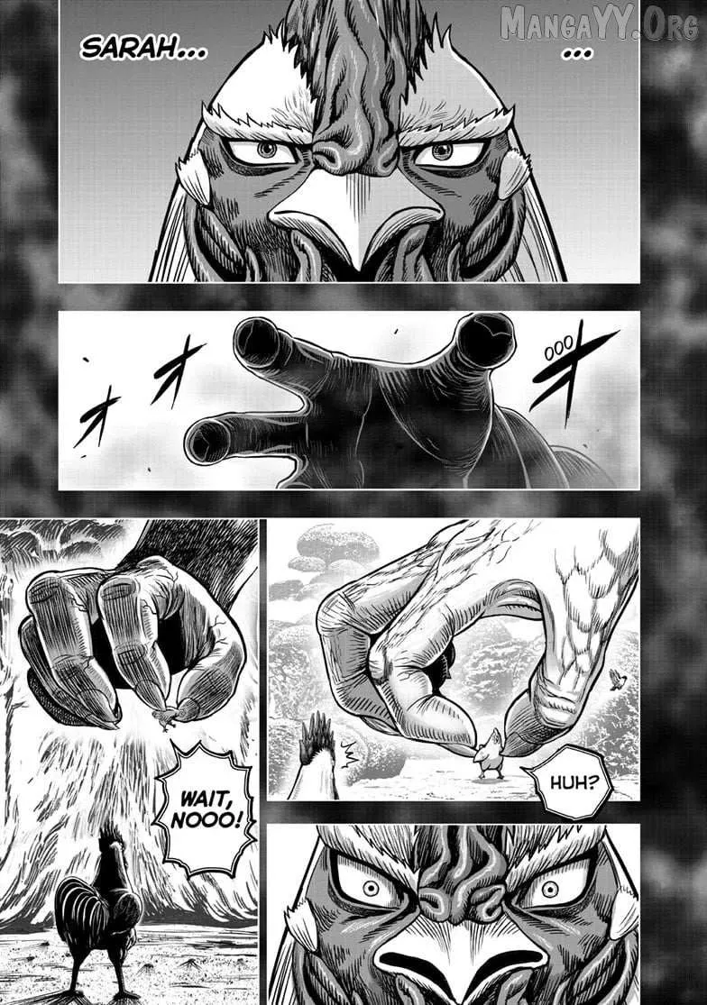 Read Rooster Fighter EN Manga Online