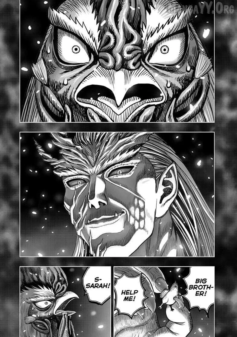 Read Rooster Fighter EN Manga Online