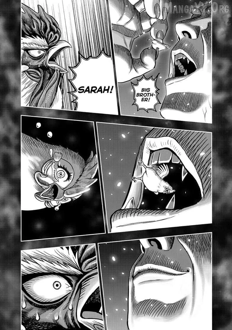 Read Rooster Fighter EN Manga Online