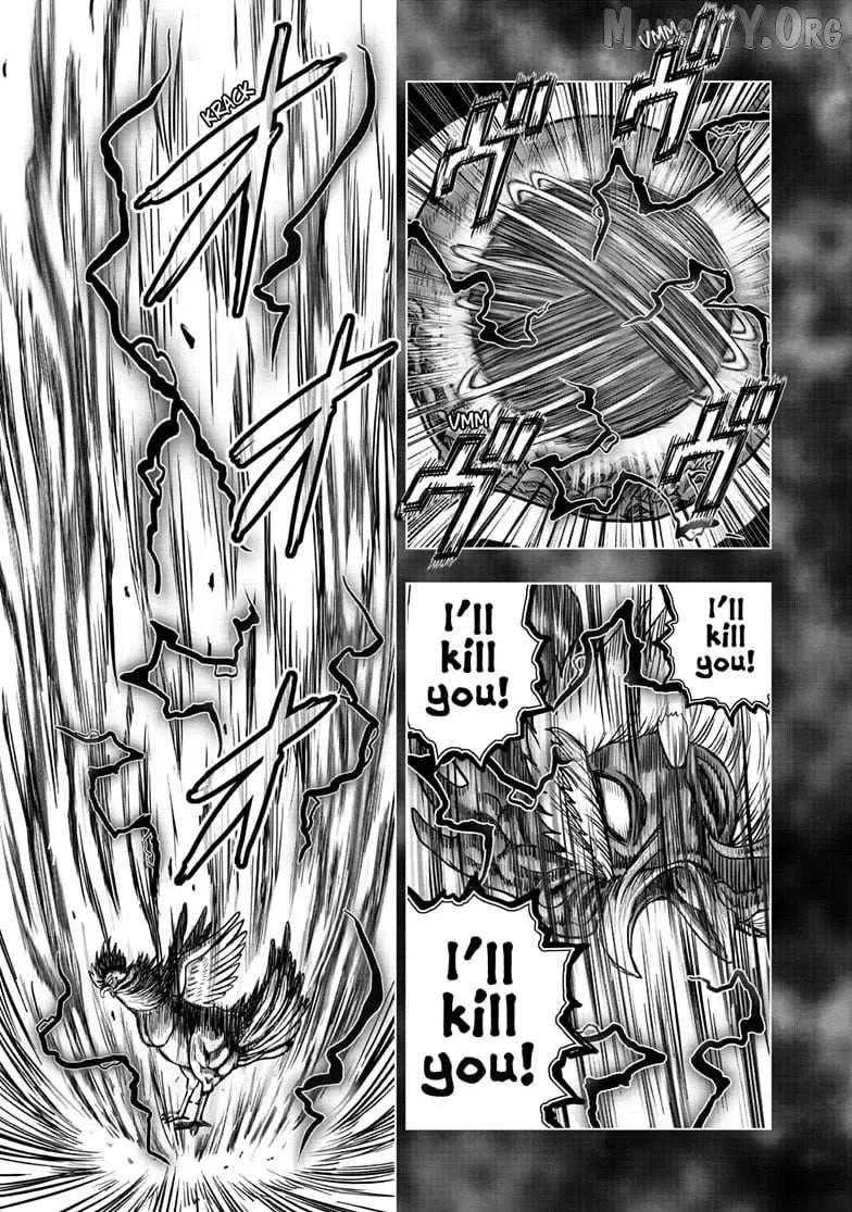 Read Rooster Fighter EN Manga Online