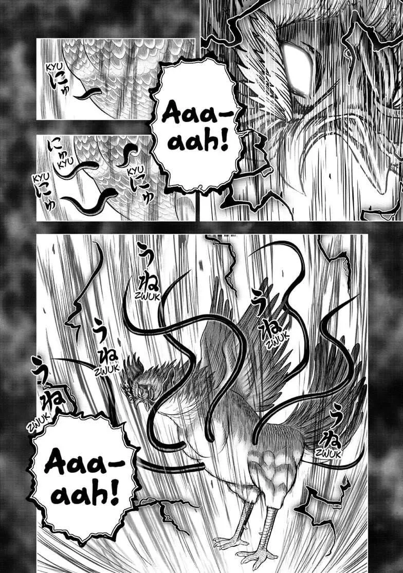 Read Rooster Fighter EN Manga Online
