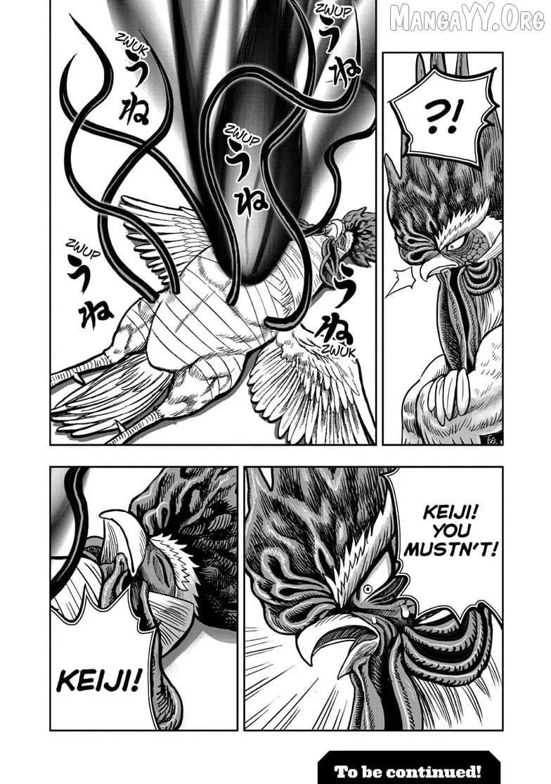Read Rooster Fighter EN Manga Online
