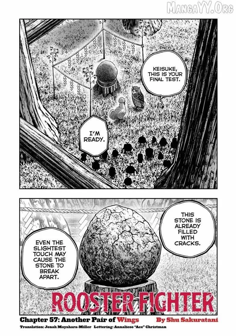 Read Rooster Fighter EN Manga Online