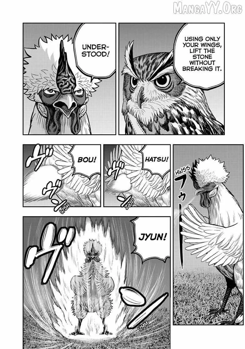 Read Rooster Fighter EN Manga Online