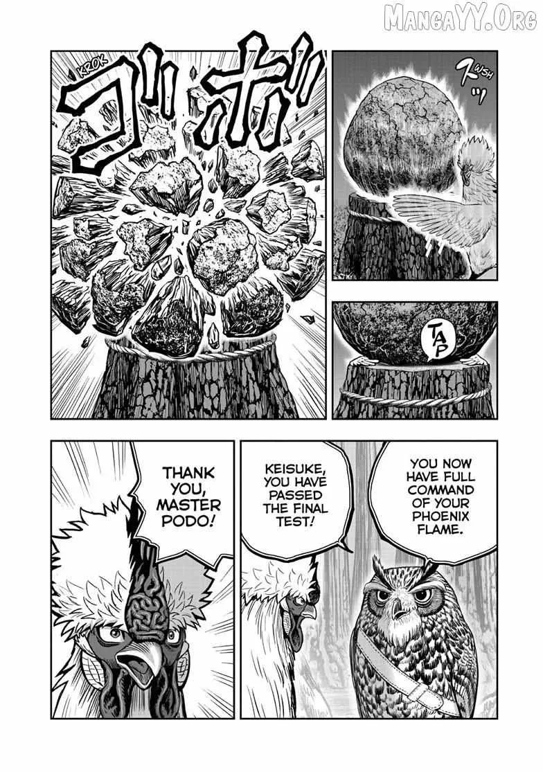 Read Rooster Fighter EN Manga Online