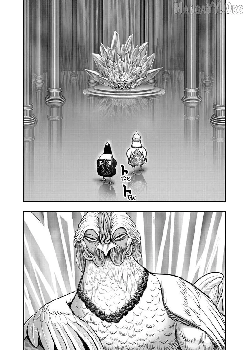 Read Rooster Fighter EN Manga Online