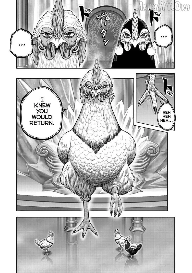 Read Rooster Fighter EN Manga Online