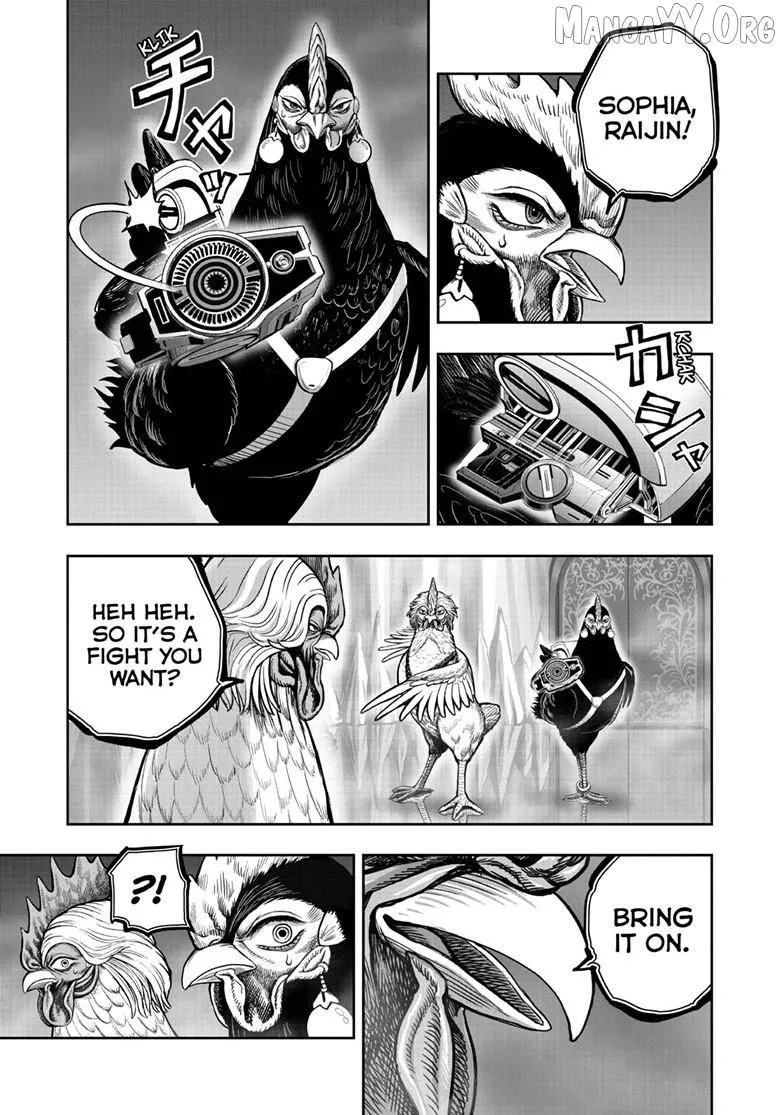Read Rooster Fighter EN Manga Online