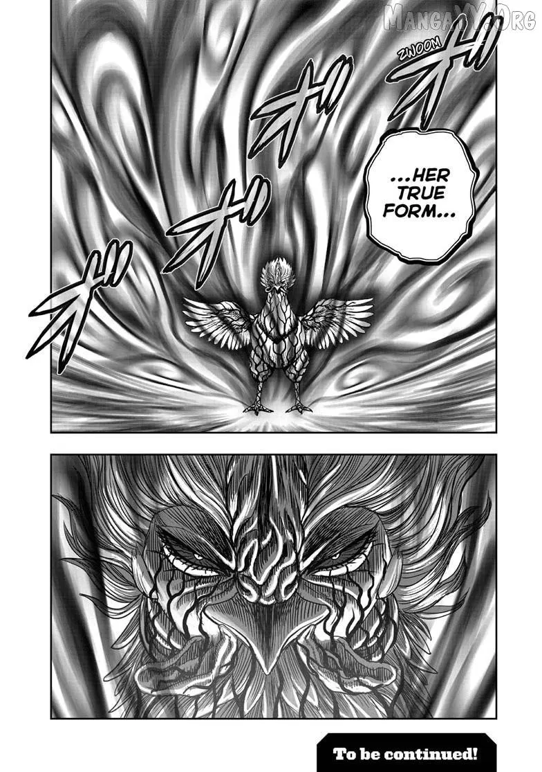 Read Rooster Fighter EN Manga Online