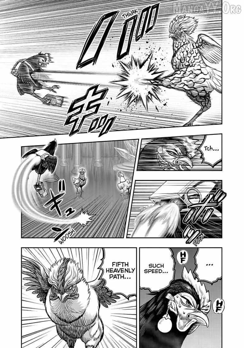Read Rooster Fighter EN Manga Online