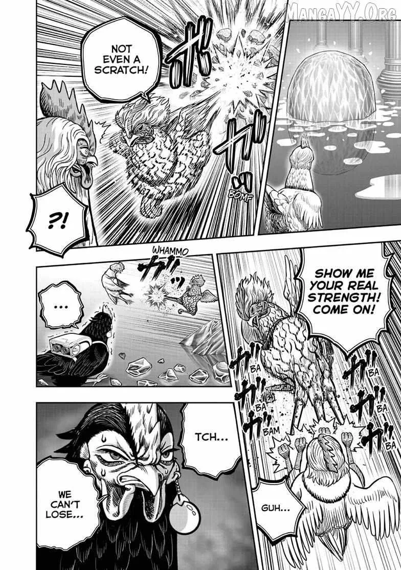 Read Rooster Fighter EN Manga Online