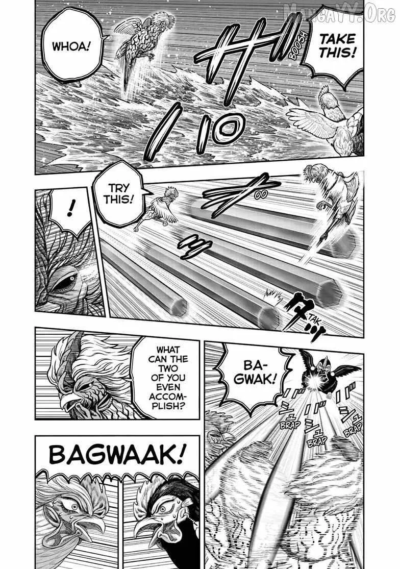 Read Rooster Fighter EN Manga Online