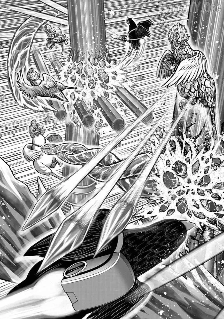 Read Rooster Fighter EN Manga Online