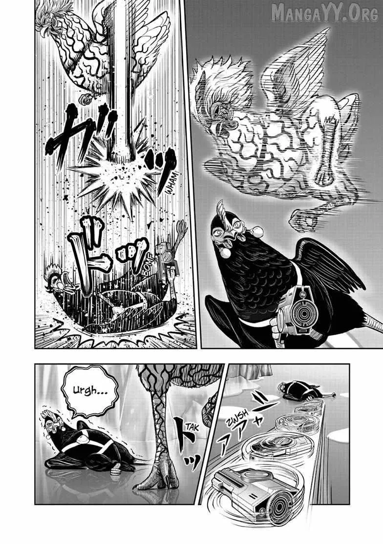 Read Rooster Fighter EN Manga Online