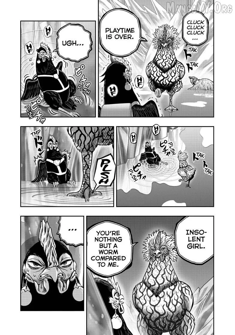 Read Rooster Fighter EN Manga Online