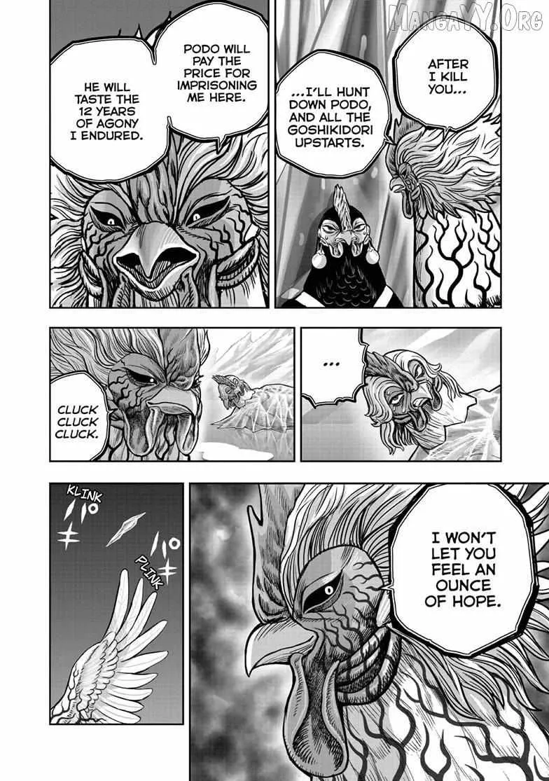 Read Rooster Fighter EN Manga Online