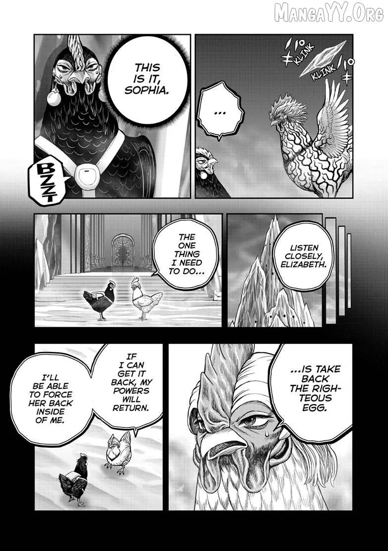 Read Rooster Fighter EN Manga Online