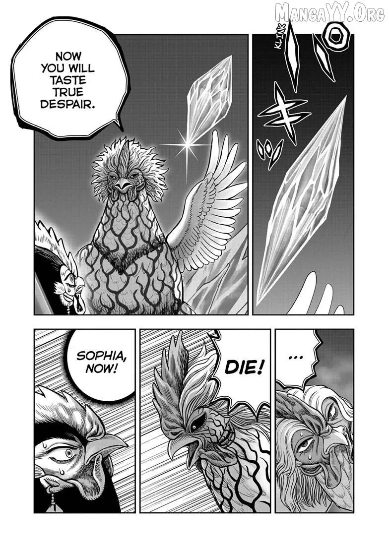 Read Rooster Fighter EN Manga Online