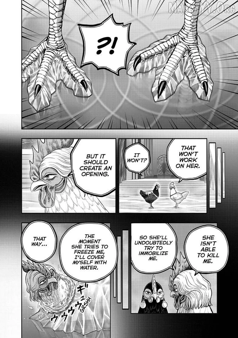 Read Rooster Fighter EN Manga Online