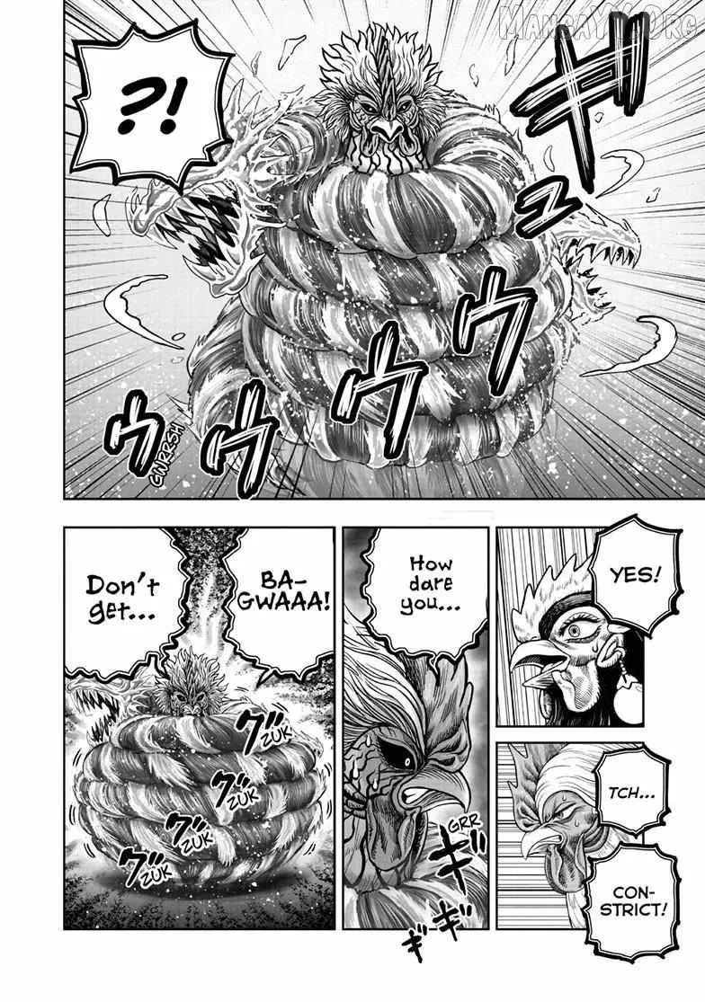 Read Rooster Fighter EN Manga Online