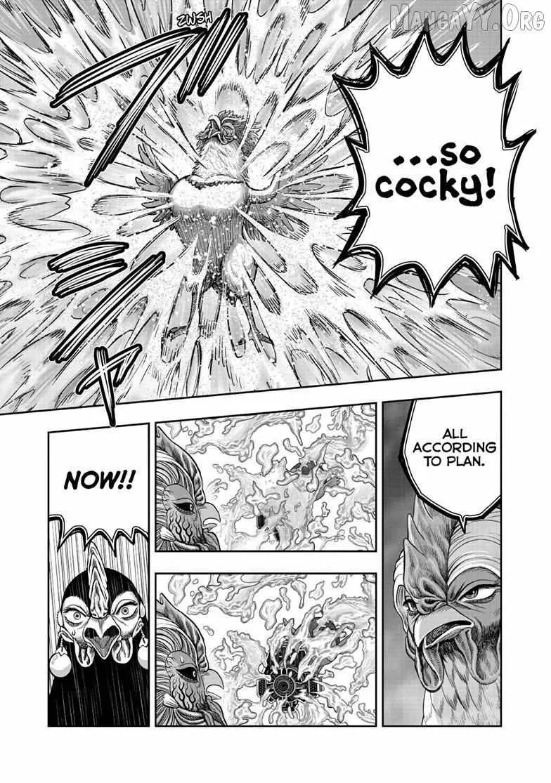 Read Rooster Fighter EN Manga Online
