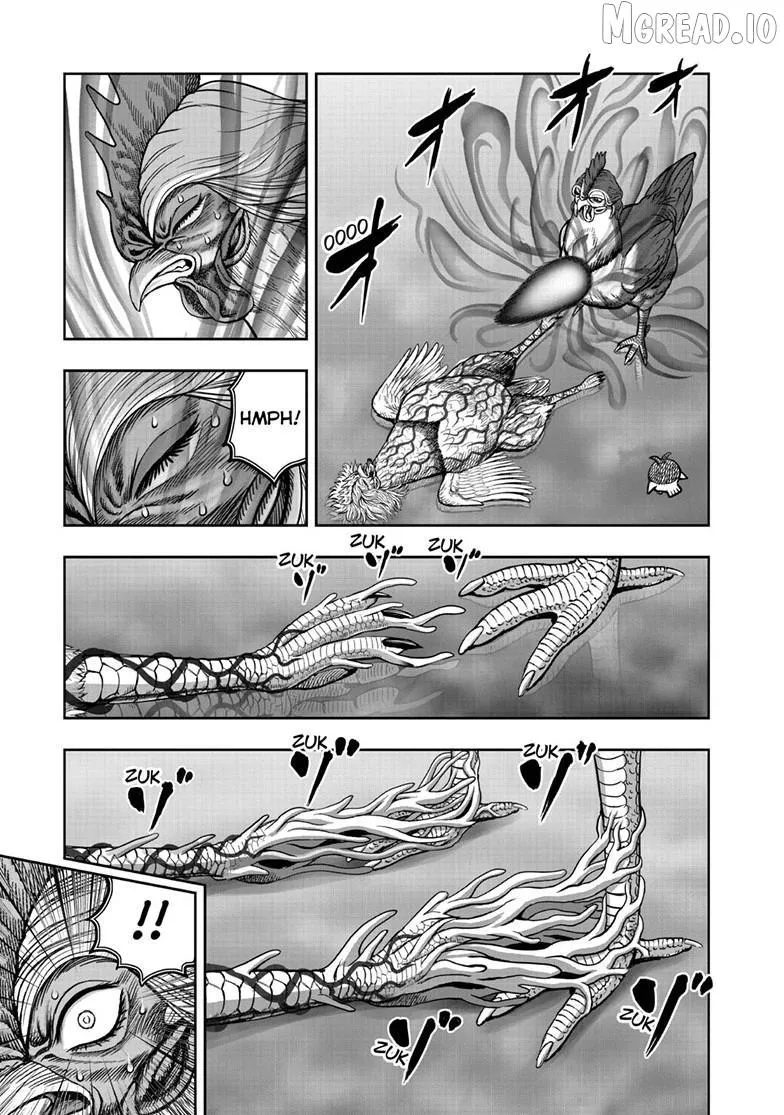 Read Rooster Fighter EN Manga Online