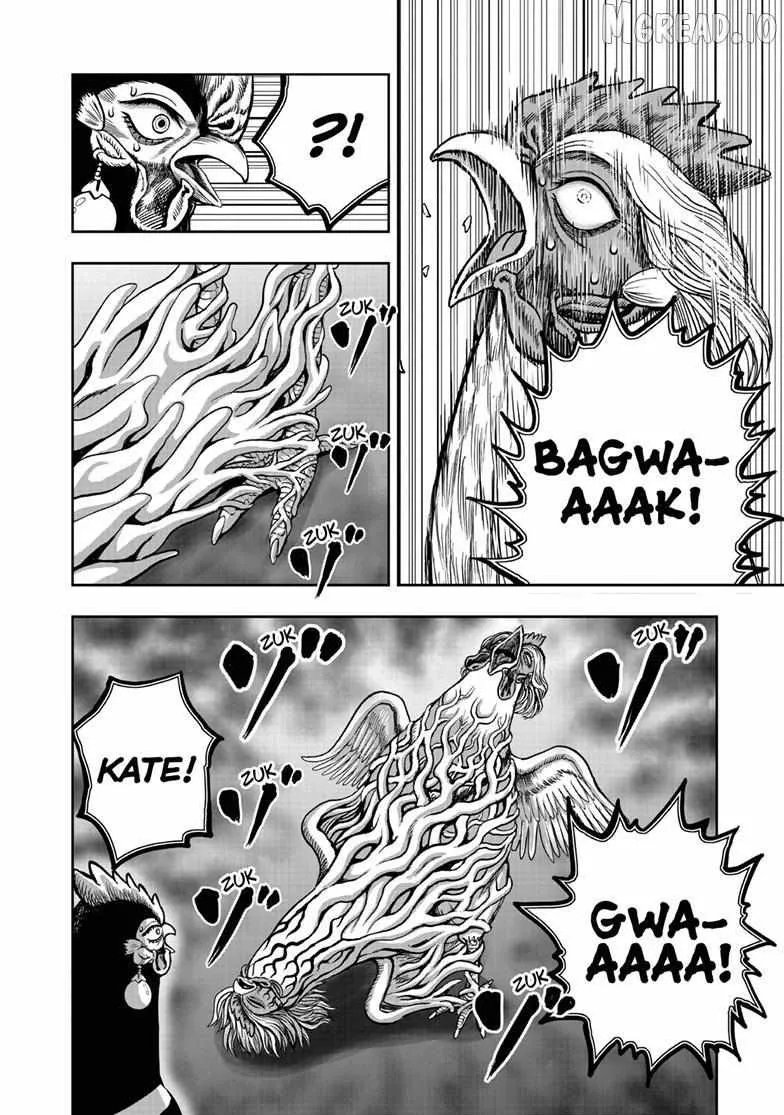 Read Rooster Fighter EN Manga Online