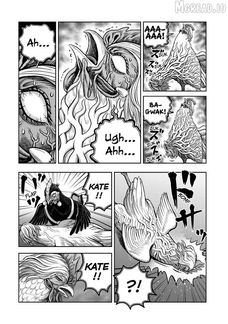 Read Rooster Fighter EN Manga Online