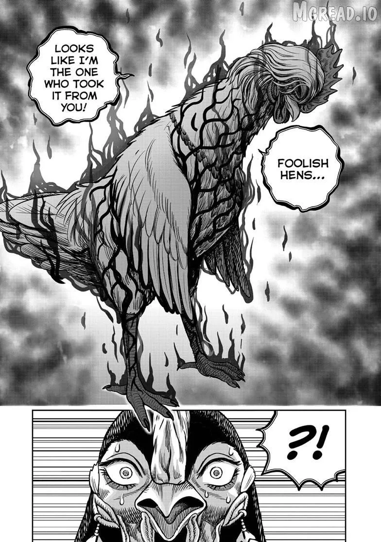 Read Rooster Fighter EN Manga Online