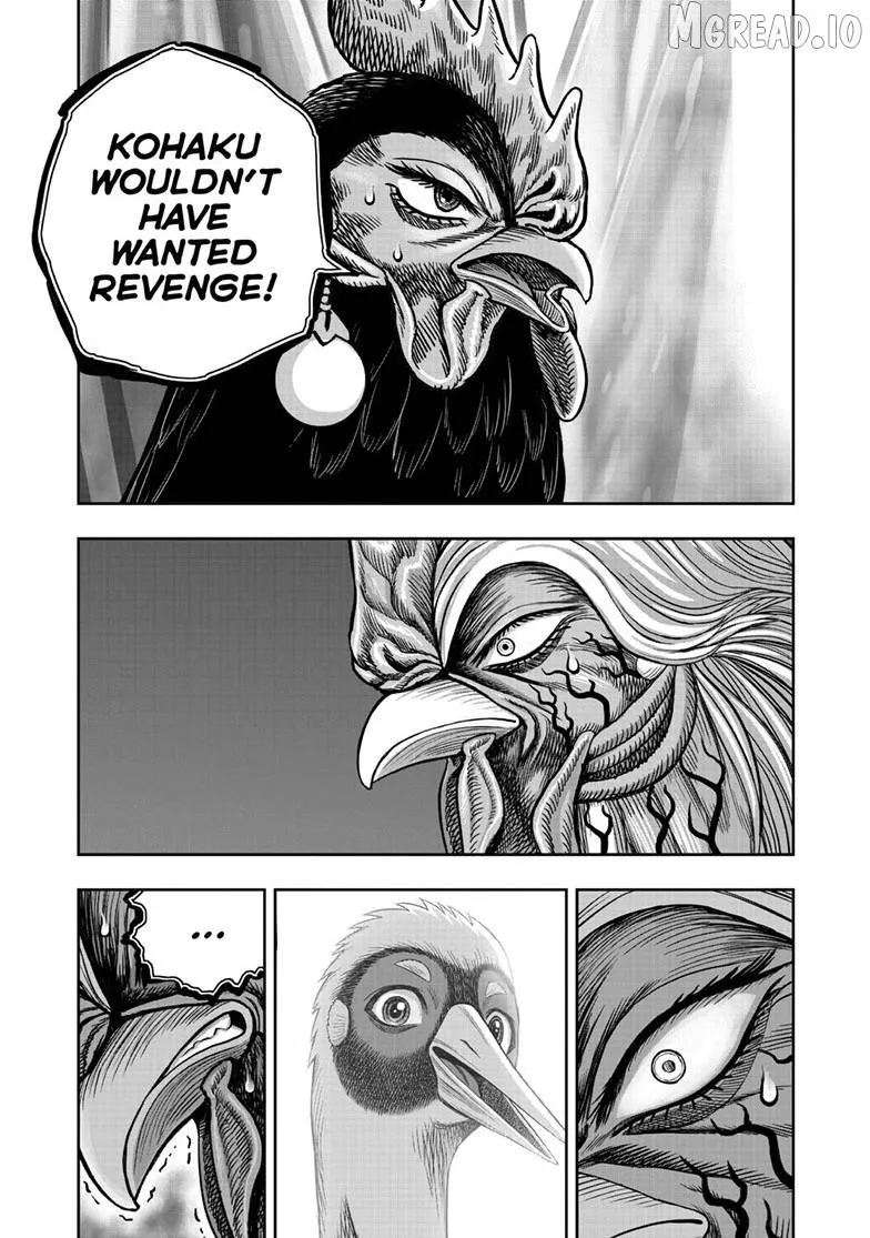 Read Rooster Fighter EN Manga Online