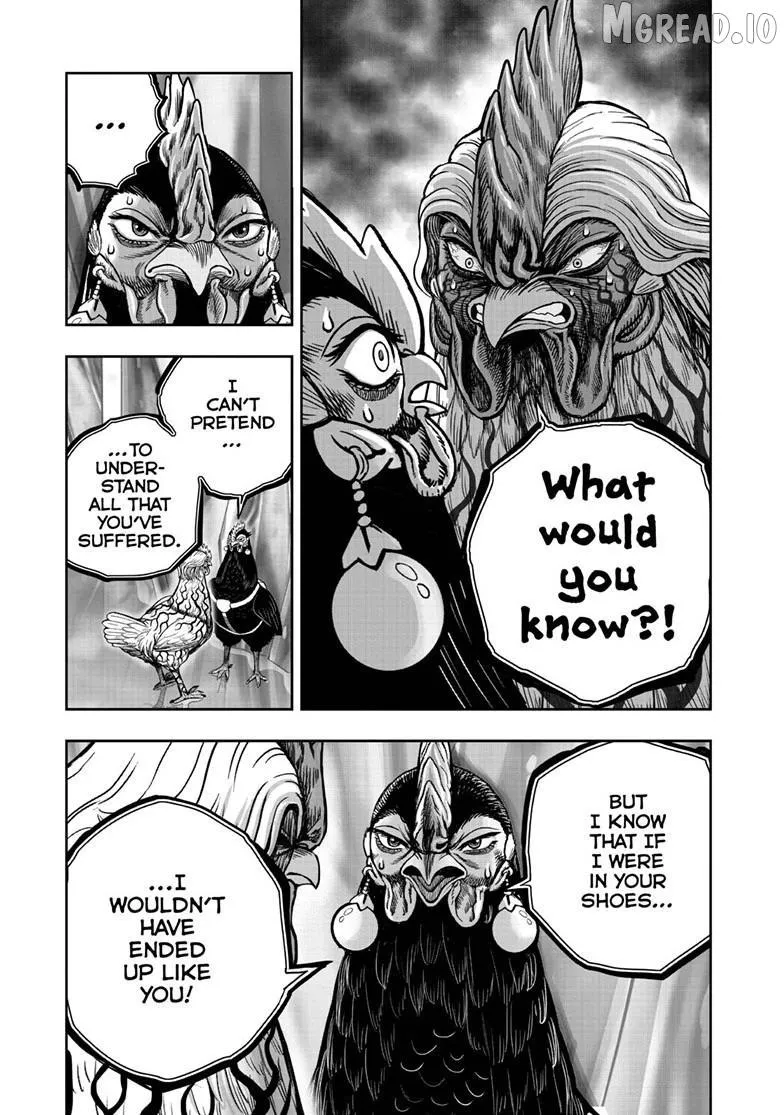 Read Rooster Fighter EN Manga Online