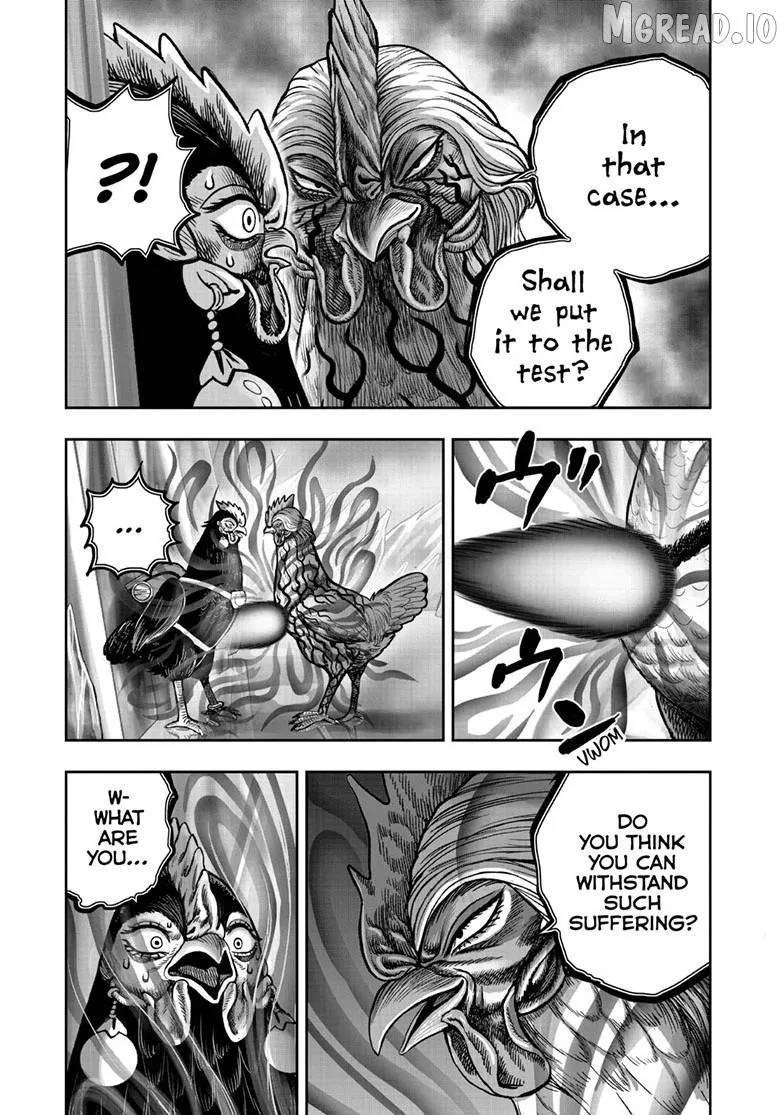 Read Rooster Fighter EN Manga Online