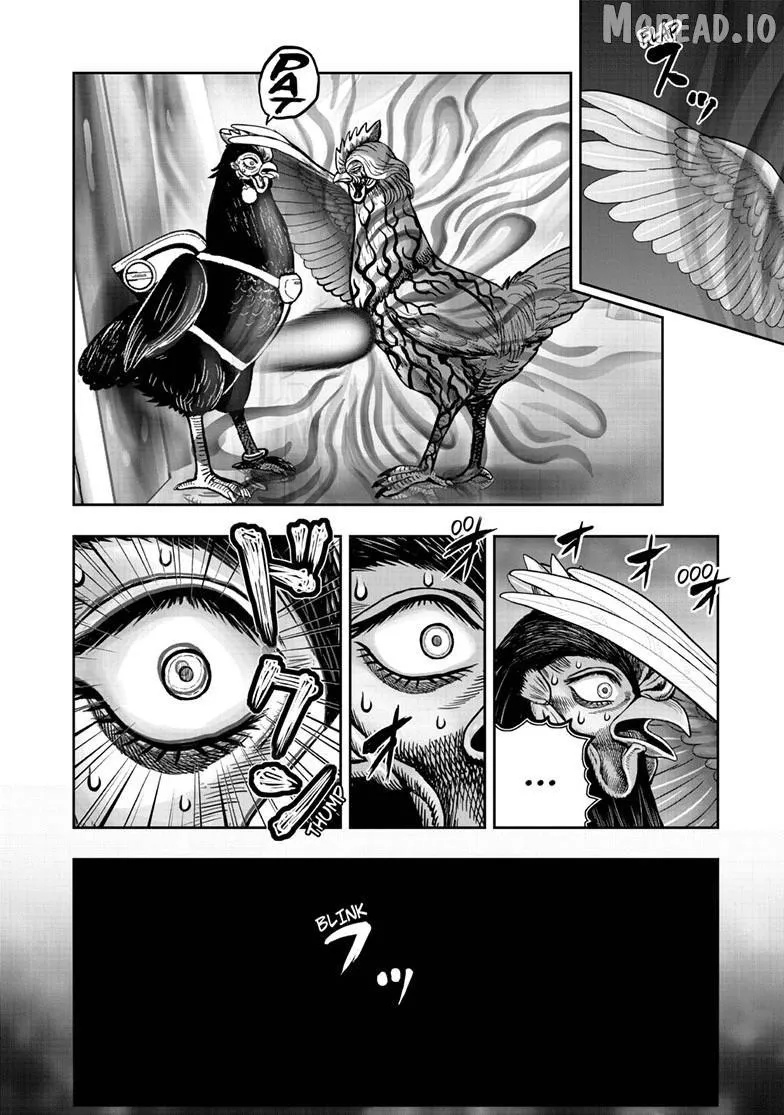 Read Rooster Fighter EN Manga Online